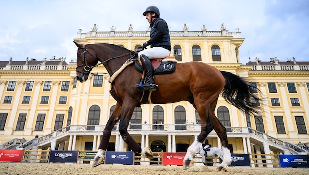 Die Stars vor Schloss Schönbrunn sind bis Sonntag die Pferde.