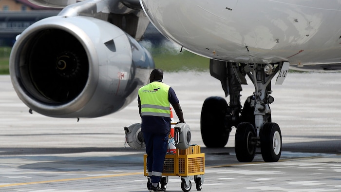 Der Hase wurde ins Triebwerk des Airbus gesaugt.