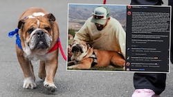 Lewis Hamilton musste von seinem Hund Abschied nehmen.
