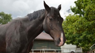 Videos einer Überwachungskamera haben den Tatverdächtigen schließlich überführt (Symbolbild).