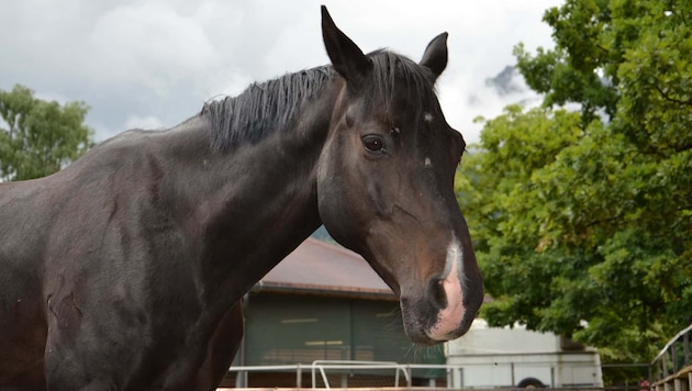 Videos einer Überwachungskamera haben den Tatverdächtigen schließlich überführt (Symbolbild).