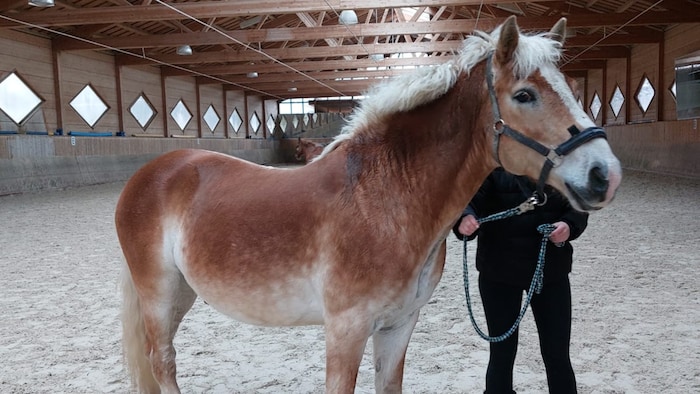 Sucht neuen Unterschlupf!