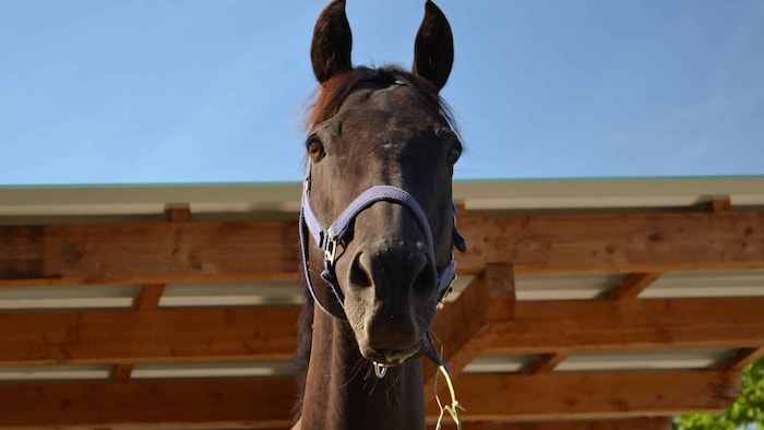 Er verdient viel Liebe!