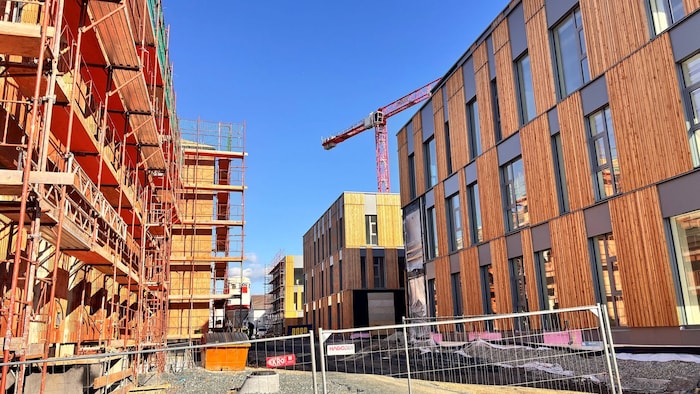 Auf einer Fläche von 15.000 m² werden am Campus Pinkafeld bis 2026 neun Gebäude errichtet.