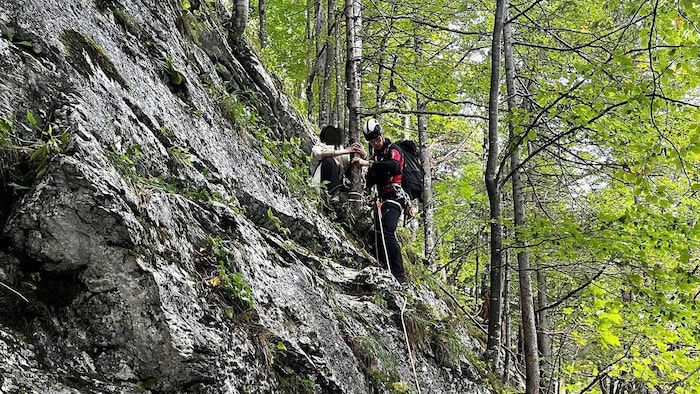Die Touristinnen klammerten sich an Bäumen fest.