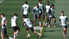 David Alaba (Mitte) hofft auf Einsatzminuten in der Champions League.