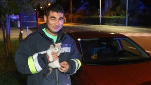 Die Babykatze nach der geglückten Rettung mit einem der Helfer.