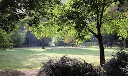 Die Schutzzone im Metahofpark wurde nochmals verlängert