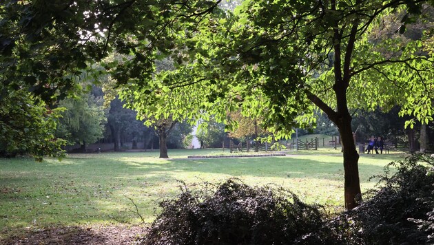 Die Schutzzone im Metahofpark wurde nochmals verlängert
