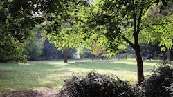 Die Schutzzone im Metahofpark wurde nochmals verlängert