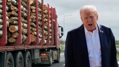 US-Präsident Donald Trump sieht auch bei Holzimporten die „nationale Sicherheit“ seines Landes ...