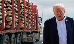 US-Präsident Donald Trump sieht auch bei Holzimporten die „nationale Sicherheit“ seines Landes ...