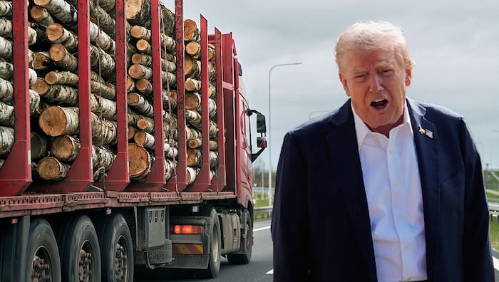 US-Präsident Donald Trump sieht auch bei Holzimporten die „nationale Sicherheit“ seines Landes ...