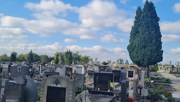 Der Friedhof in Neufeld mit unterschiedlich teuren Gräbern.