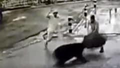 Zum Glück hatte es geregnet und das Opfer hatte einen Regenschirm dabei.