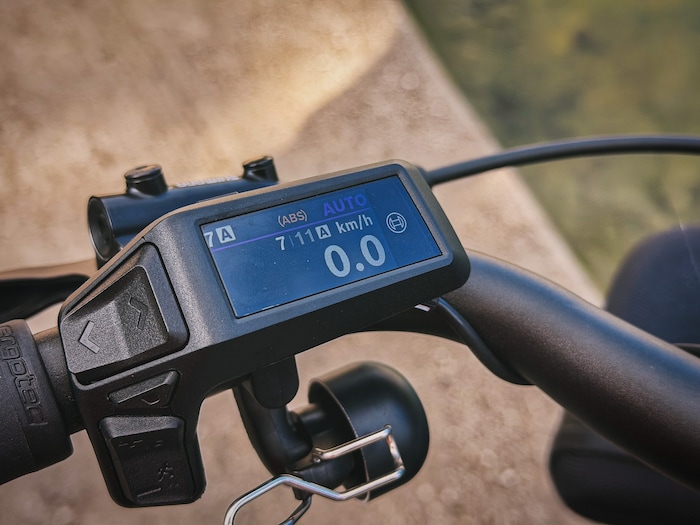 Bosch Purion 200 Display.