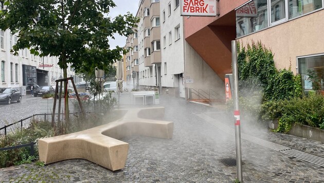 12 Grad und Regenwetter: Ein „Krone“-Leser dokumentierte kürzlich diese (seiner Meinung nach) ...