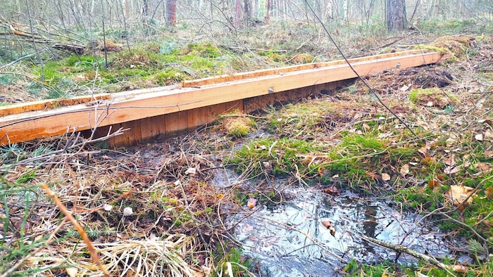 Spundwände dienen als Abdichtung und verhindern so den Wasserablauf.