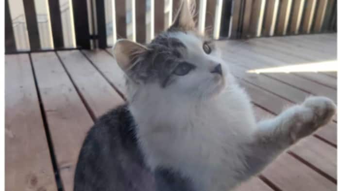 Wer sind ihre Herzensmenschen?