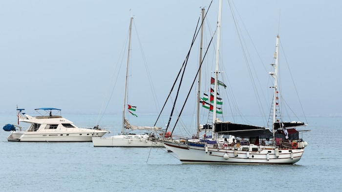 Diese Boote wollen die israelische Blockade durchbrechen.