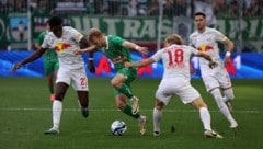 Gourna-Douath (li.) und Terzic (re.) sind wieder Optionen. Bidstrup (M.) fällt aus.