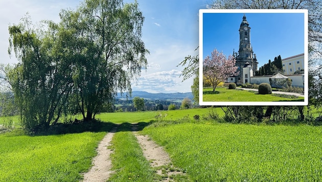 Im Stift Zwettl, das zu Lebzeiten des Heiligen Bernhards gegründet wurde, fand der Auftakt zu ...