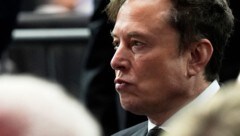 Musk zufolge ist Wikipedia nicht objektiv.