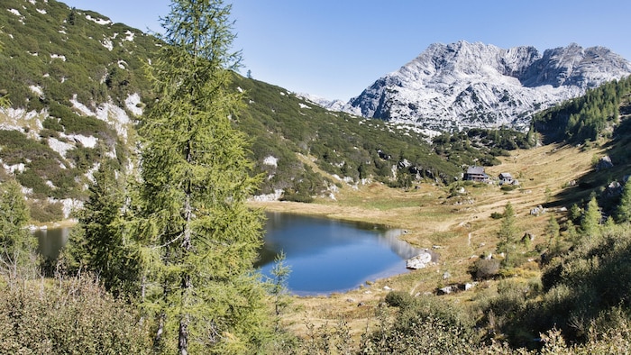Idyllische Alm mit dem Elmsee und der Pühringerhütte (1638 m) im Hintergrund.