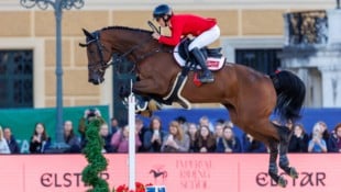 Nomen est omen! KWPN-Wallach „I will be famous“ (deutsch: „Ich werde berühmt sein“) und Bianca ...