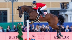 Nomen est omen! KWPN-Wallach „I will be famous“ (deutsch: „Ich werde berühmt sein“) und Bianca ...