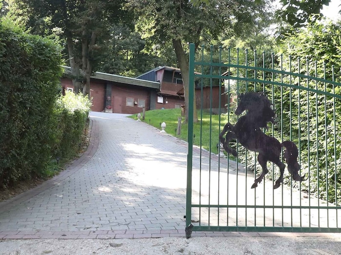 Bevor Babanitz den Stall übernahm, gehörte er einem Vielseitigkeitsreiter, der bei einem Turnier ...