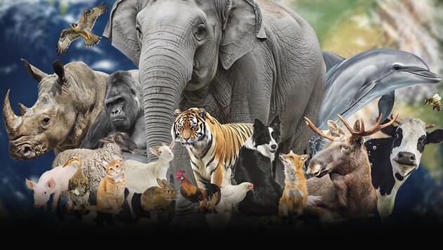 Der Welttierschutztag hat heute mehr Bedeutung denn je.