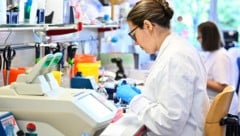 Forscher haben erstmals menschliche Hautzellen in befruchtungsfähige Eizellen umgewandelt. ...