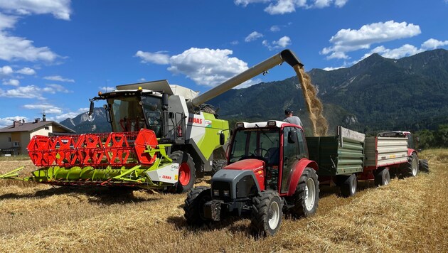 Die Getreideernte war gut: plus 14 Prozent gegenüber 2024.