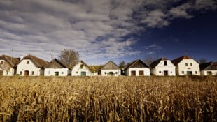 Wundervolle Kellergassen locken ins Weinviertel.