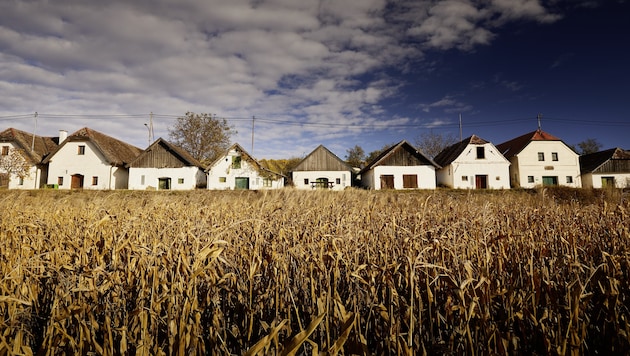 Wundervolle Kellergassen locken ins Weinviertel.