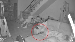 Nicht unbedingt der Kuschelpartner, den man sich nächstens wünschen würde.