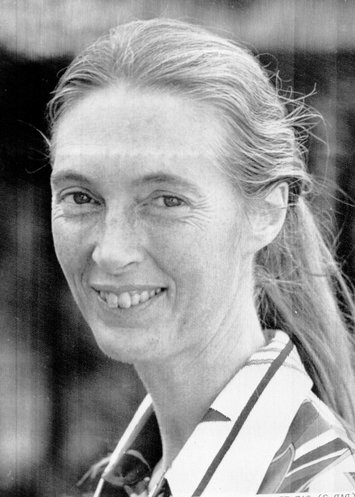 Jane Goodall 1975