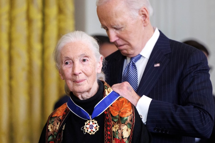 Jane Goodall erhält die Medal of Freedom von Joe Biden