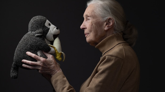 Jane Goodall mit ihrem Maskottchen. „Mister H“ war nahezu bei jedem Termin dabei.