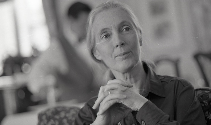 Jane Goodall 1990