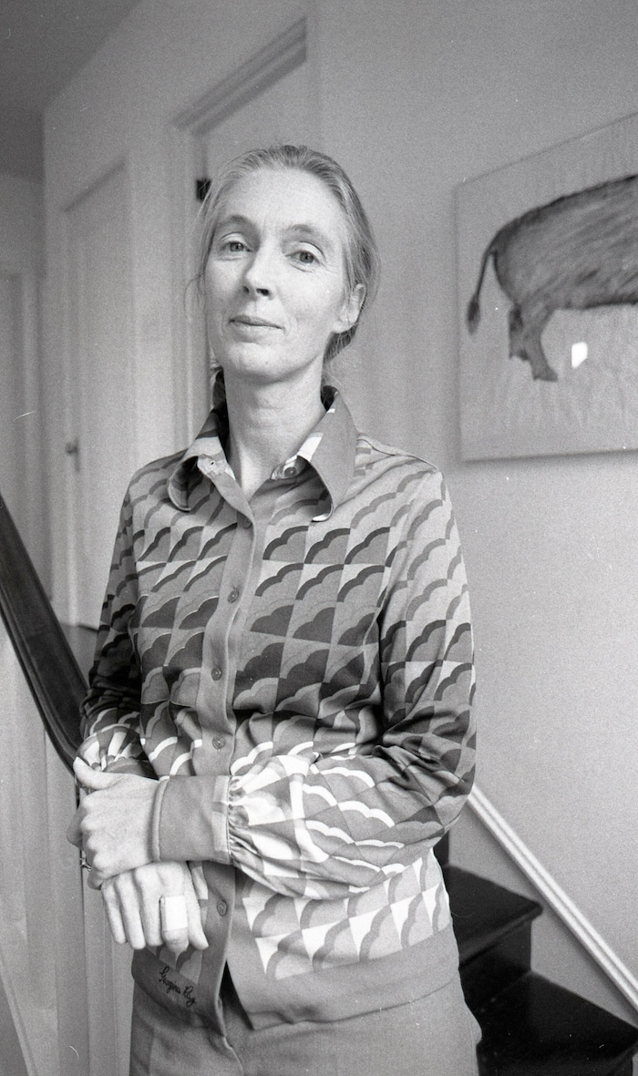 Jane Goodall 1983