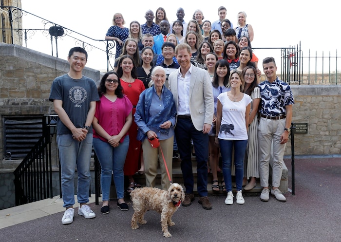 Jane Goodall und Prinz Harry posierten auf Schloss Windsor im Zuge des Roots & Shoots ...
