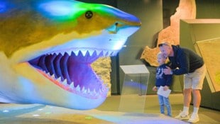 Im Linzer Schlossmuseum erlebt man Technik, Kultur, Natur und tierische Ureinwohner