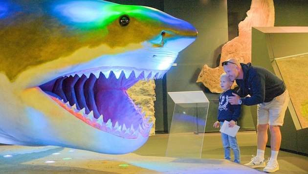 Im Linzer Schlossmuseum erlebt man Technik, Kultur, Natur und tierische Ureinwohner
