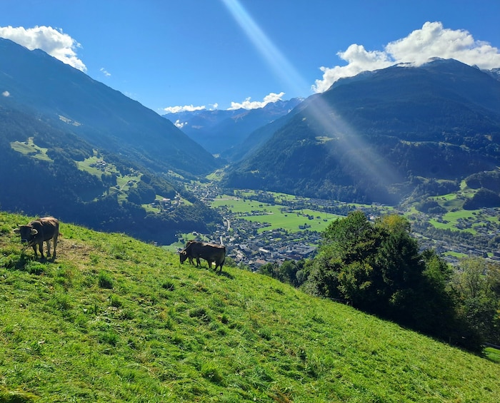 Blick in die Talschaft Montafon.