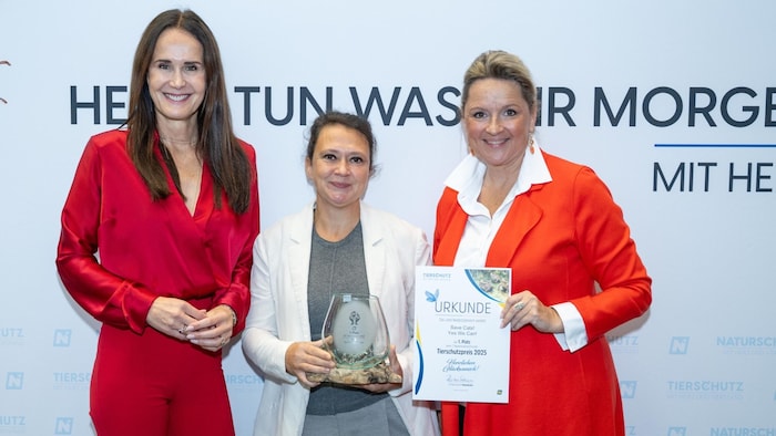 Für Samtpfoten im Einsatz: Mareike Schnabl, Vereinsobfrau von „Save Cats“, wurde von ...