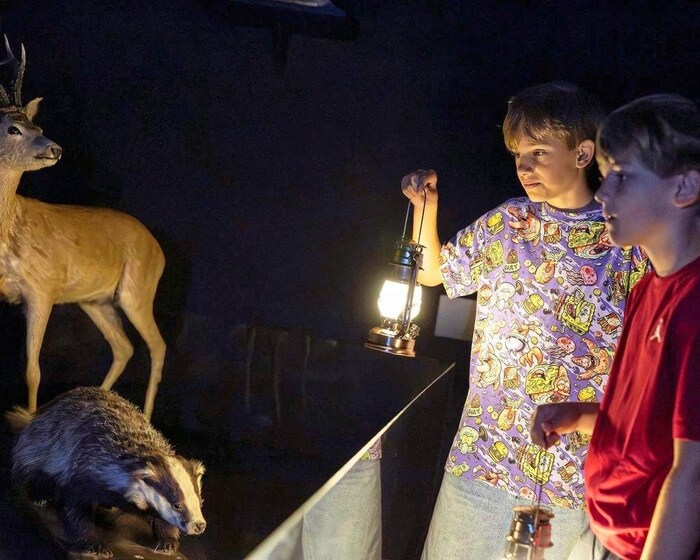 Warum sind Tiere in der Nacht aktiv? Zu sehen im haus für Natur in St. Pölten