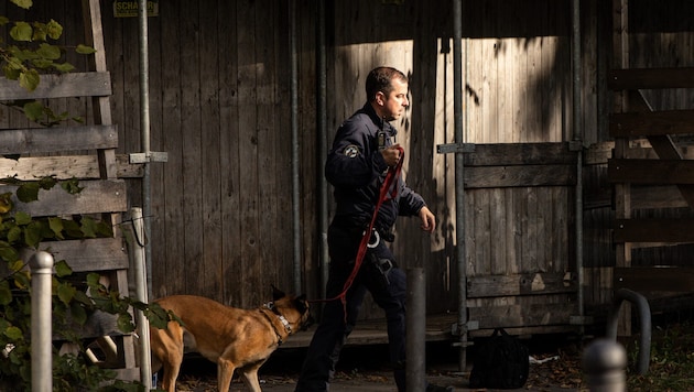 In München hat ein Mann das Haus seiner Eltern angezündet. Nun wurde eine Leiche geborgen, es ...