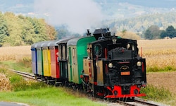 133 Jahre alt ist die weststeirische Lokalbahn.